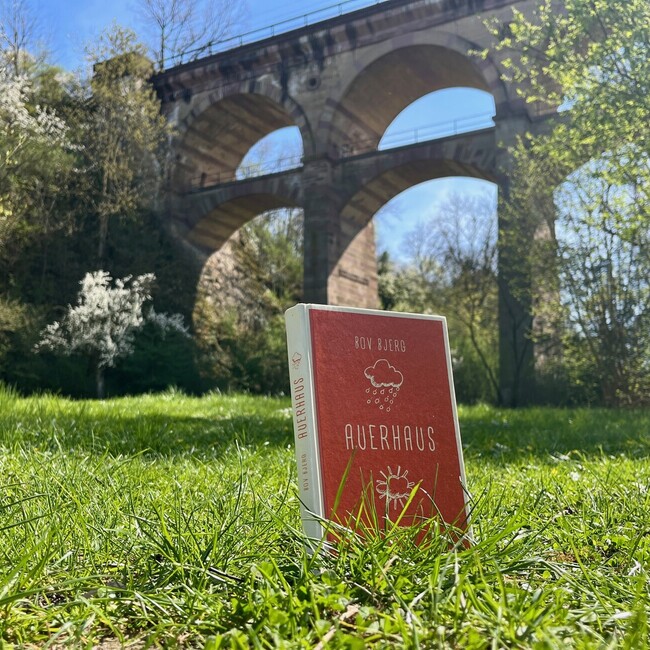 Das Buch "Auerhaus" ist auf einer Wiese vor dem Viadukt zu sehen